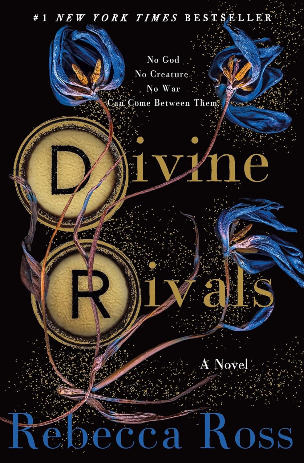 Cover of Divine Rivals