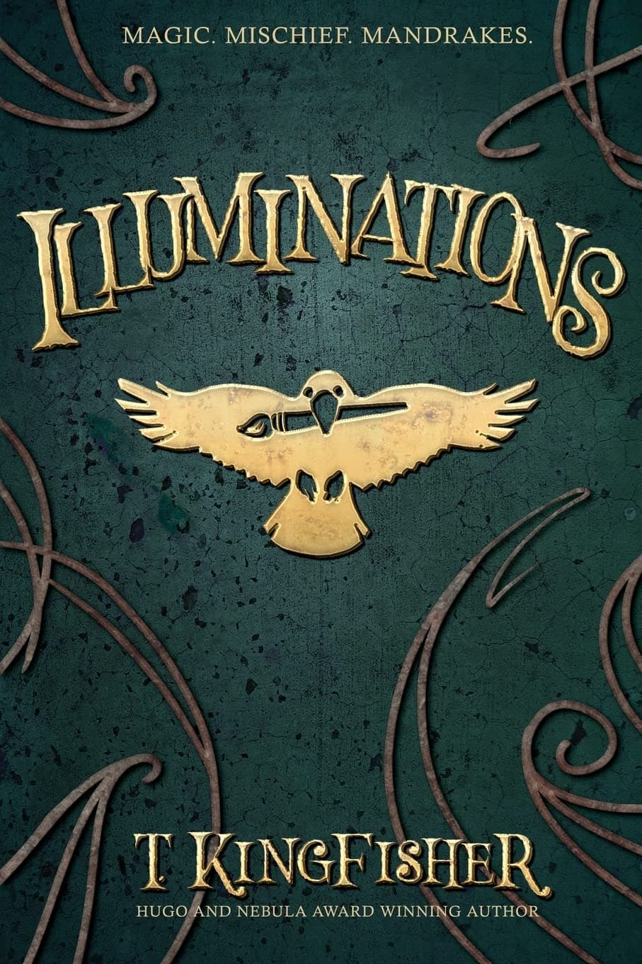 Cover of Illuminations