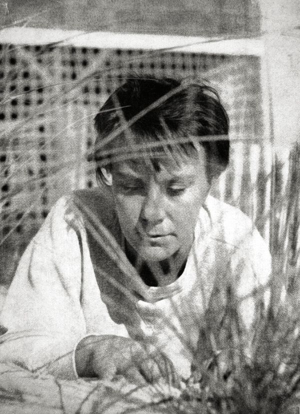 Portrait of Harper Lee